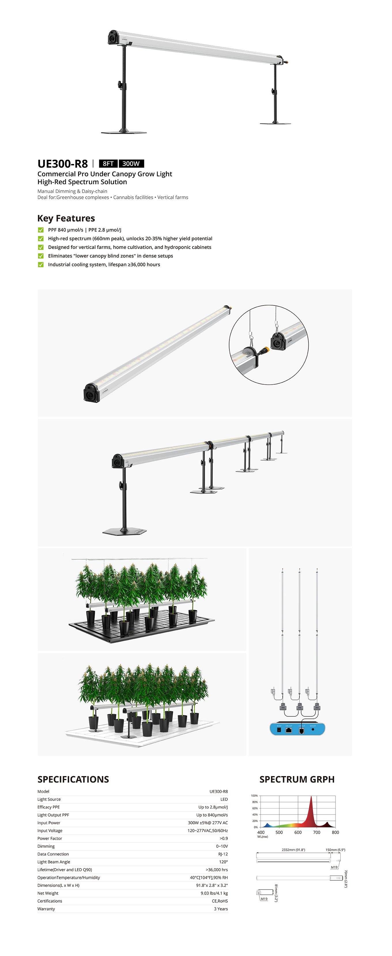 UE300 | 8FT 300W